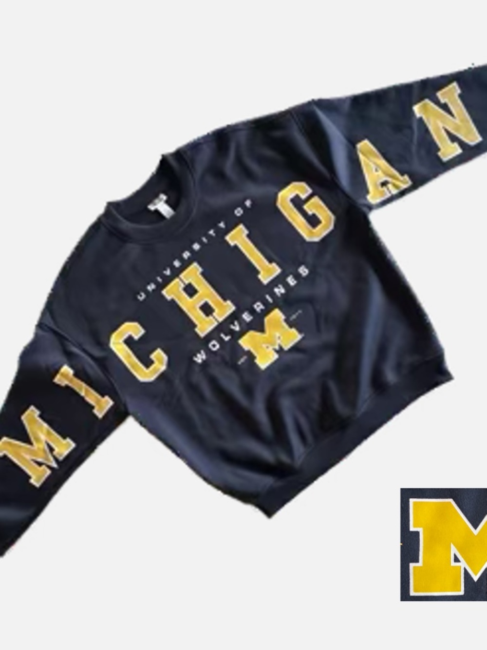 NEW Michigan Wolverines Sweatshirt Men’s L Spell Out Sleeve NCAA
